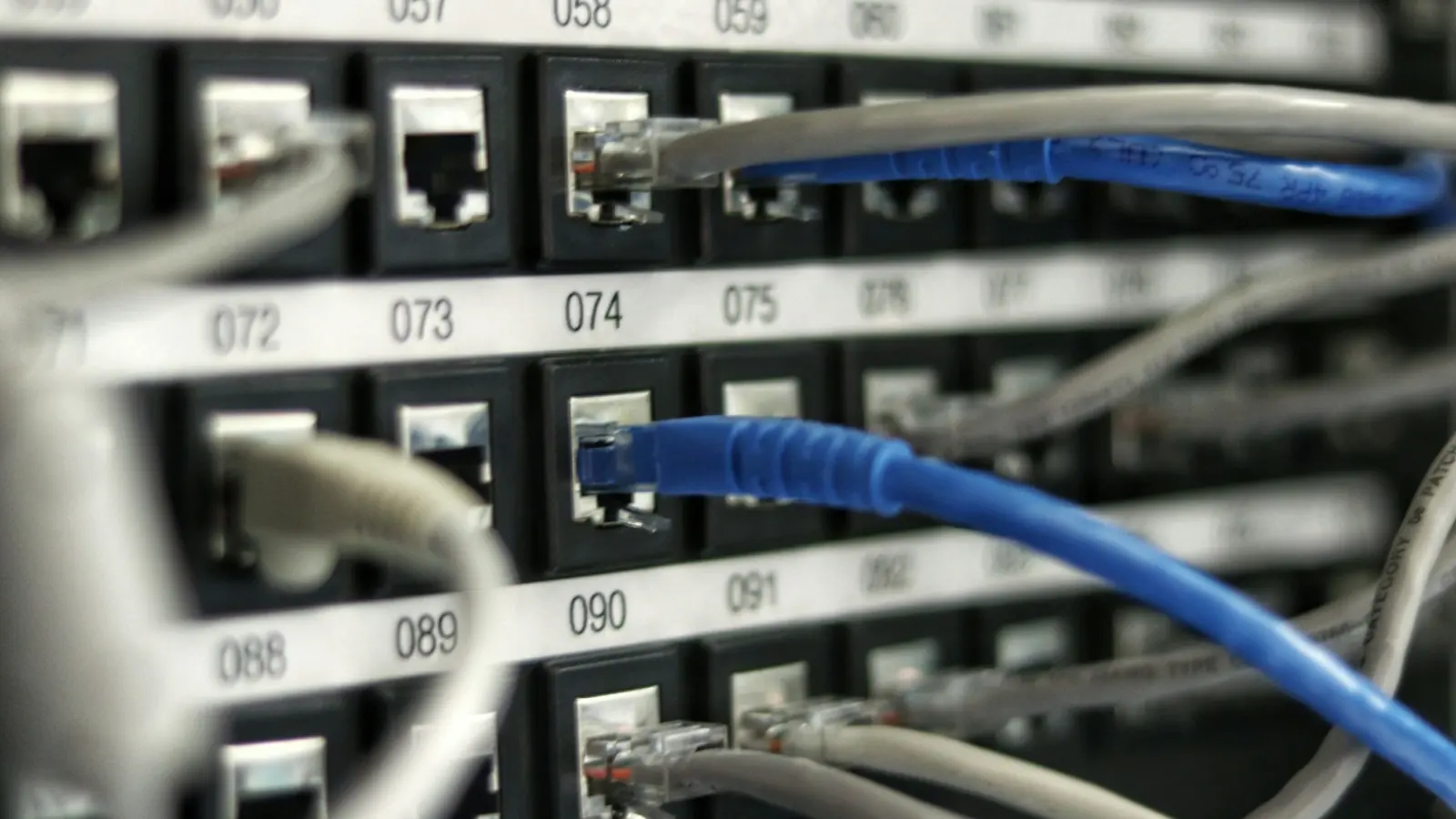 Network cables plugged into a patch panel