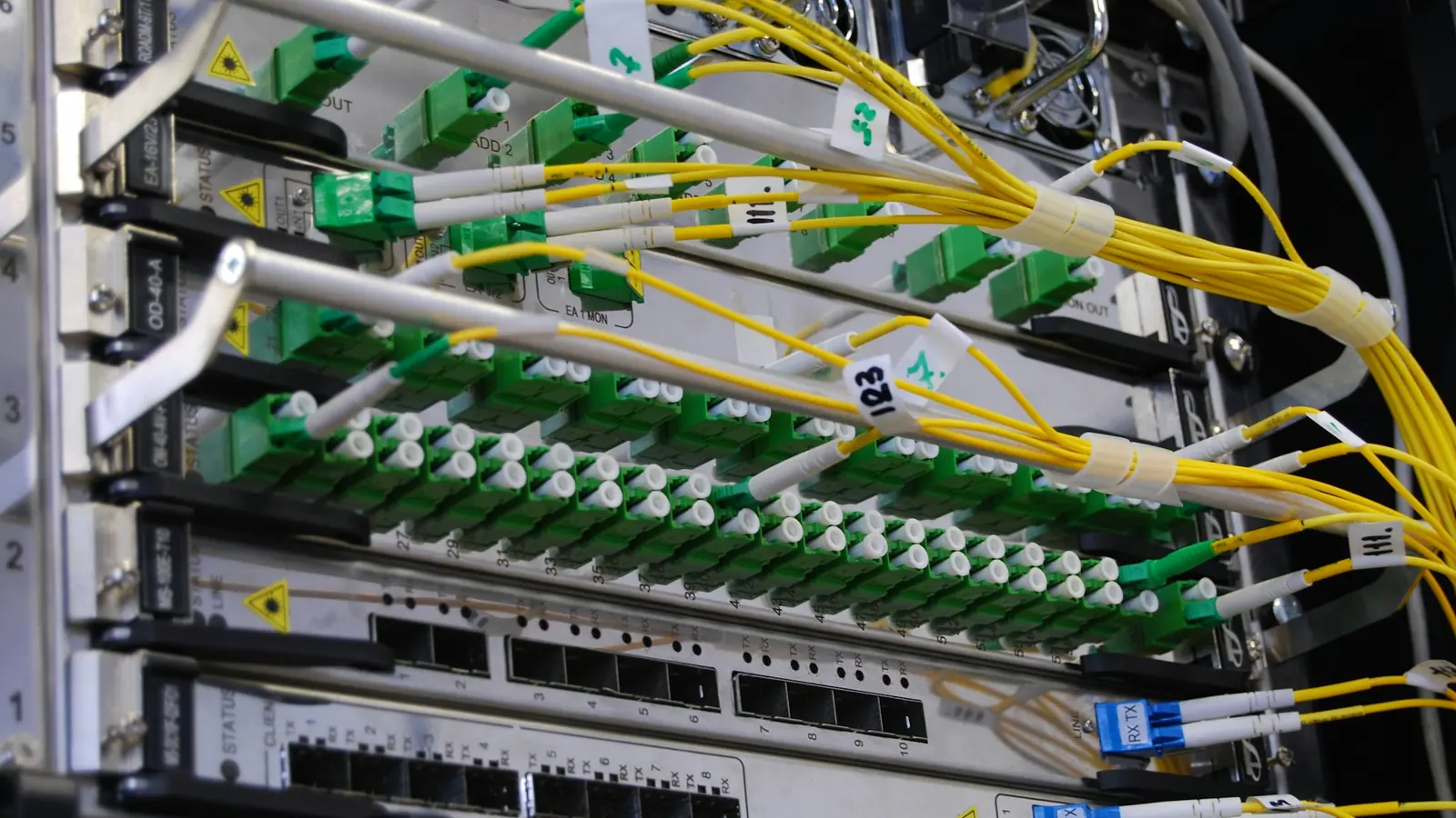 Fibre optic cables plugged into a network switch