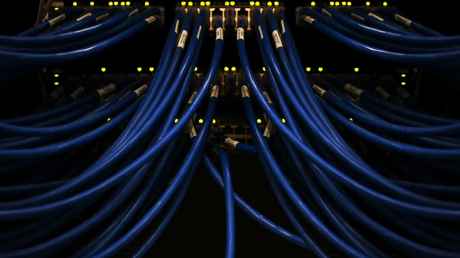 Blue network cables plugged into a switch